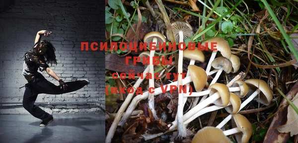 spice Абинск