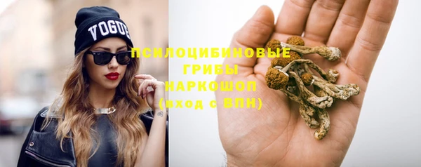 гидра Абдулино