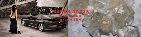 круглые Абаза