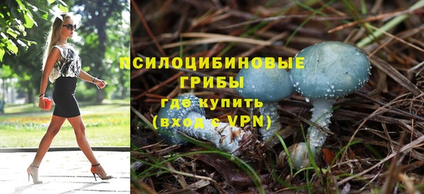 гидра Абдулино