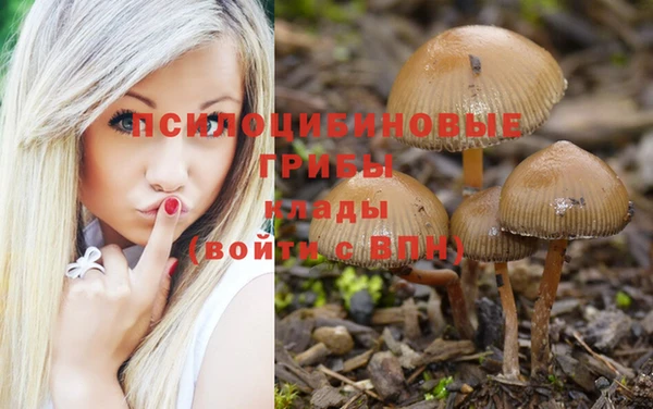 гидра Абдулино