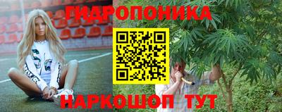 не бодяженный Будённовск