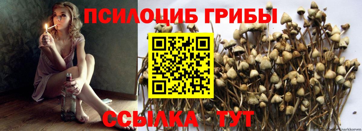 Галлюциногенные грибы MAGIC MUSHROOMS Кострома