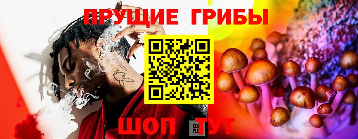 Псилоцибиновые грибы MAGIC MUSHROOMS  Вход с VPN  Кострома 